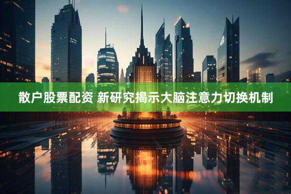 散户股票配资 新研究揭示大脑注意力切换机制